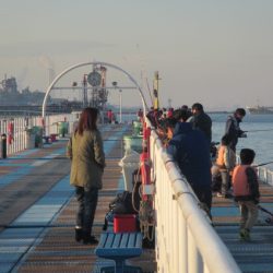 オリジナルメーカー海づり公園(市原市海づり施設) 釣果