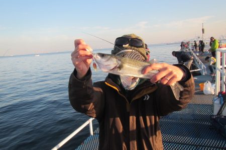 オリジナルメーカー海づり公園(市原市海づり施設) 釣果