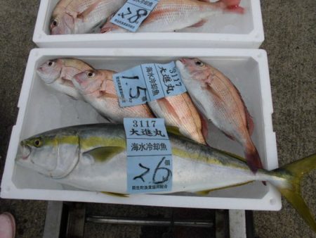 大進丸(新潟) 釣果