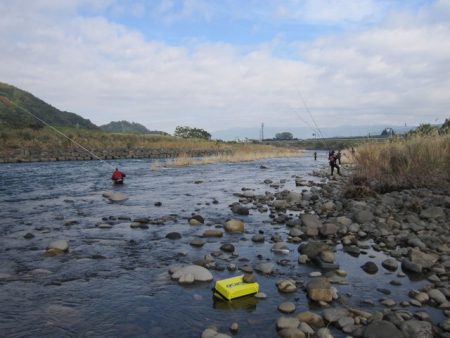 狩野川（狩野川漁業協同組合） 釣果