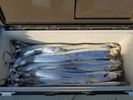 遊漁船　ニライカナイ 釣果