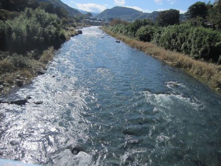 狩野川(狩野川漁業協同組合) 釣果