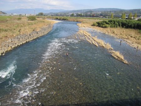 狩野川(狩野川漁業協同組合) 釣果