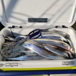 遊漁船 ニライカナイ 釣果