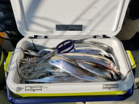 遊漁船 ニライカナイ 釣果