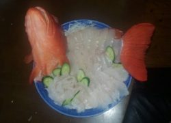 ことぶき丸 釣果