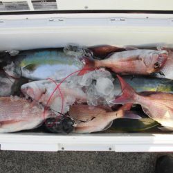 大進丸（新潟） 釣果