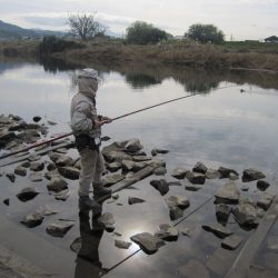 狩野川(狩野川漁業協同組合) 釣果