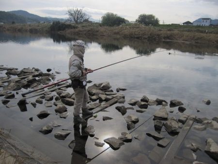 狩野川(狩野川漁業協同組合) 釣果