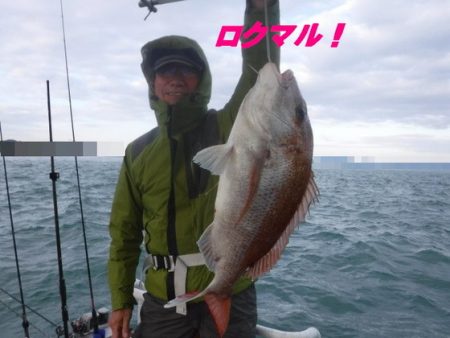 遊漁船 幸友丸 釣果