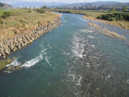 狩野川(狩野川漁業協同組合) 釣果