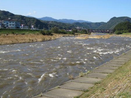 狩野川（狩野川漁業協同組合） 釣果