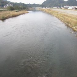 狩野川(狩野川漁業協同組合) 釣果