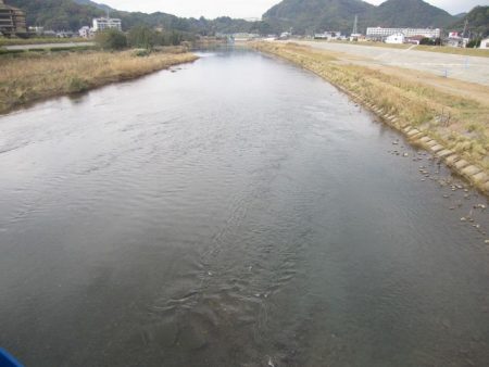 狩野川(狩野川漁業協同組合) 釣果