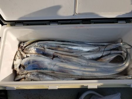 遊漁船　ニライカナイ 釣果