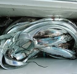 フィッシングガイド りょう 釣果