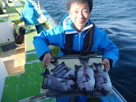 久里浜黒川本家 釣果