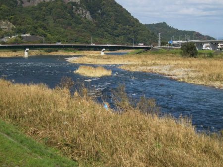 狩野川(狩野川漁業協同組合) 釣果