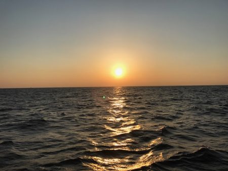 へいみつ丸 釣果