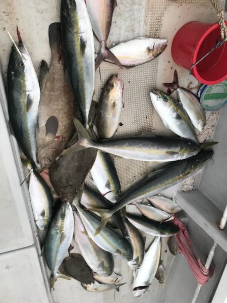 寿裕 （YOSHIHIRO） 釣果