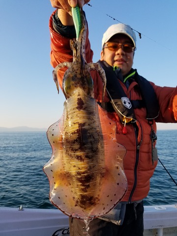 遊漁船 ニライカナイ 釣果