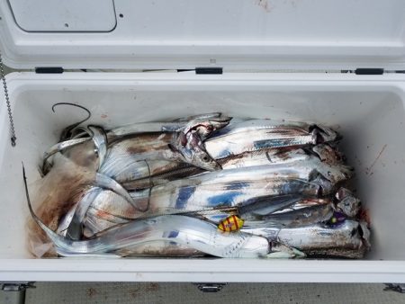 遊漁船　ニライカナイ 釣果