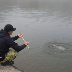 フィッシングレイクたかみや 釣果