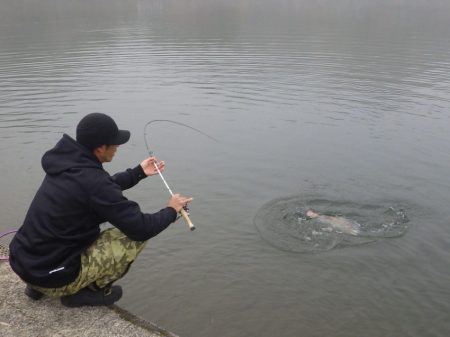 フィッシングレイクたかみや 釣果