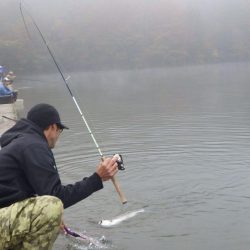 フィッシングレイクたかみや 釣果