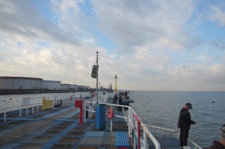 オリジナルメーカー海づり公園(市原市海づり施設) 釣果