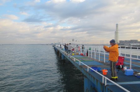 オリジナルメーカー海づり公園(市原市海づり施設) 釣果