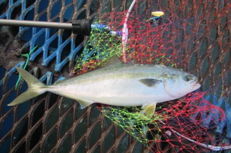 オリジナルメーカー海づり公園(市原市海づり…