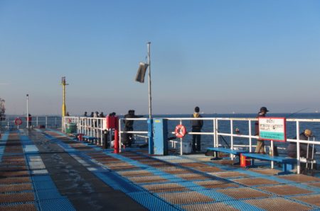 オリジナルメーカー海づり公園(市原市海づり施設) 釣果