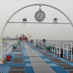 オリジナルメーカー海づり公園(市原市海づり施設) 釣果