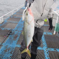 オリジナルメーカー海づり公園(市原市海づり施設) 釣果