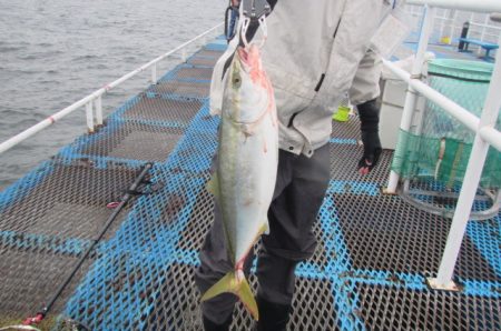 オリジナルメーカー海づり公園(市原市海づり施設) 釣果