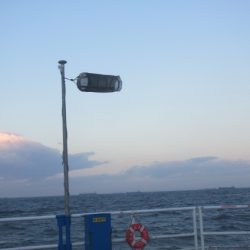 オリジナルメーカー海づり公園(市原市海づり施設) 釣果