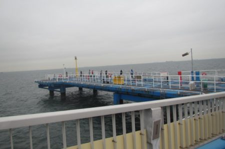 オリジナルメーカー海づり公園(市原市海づり施設) 釣果