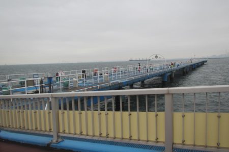 オリジナルメーカー海づり公園(市原市海づり施設) 釣果