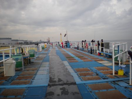 オリジナルメーカー海づり公園(市原市海づり施設) 釣果