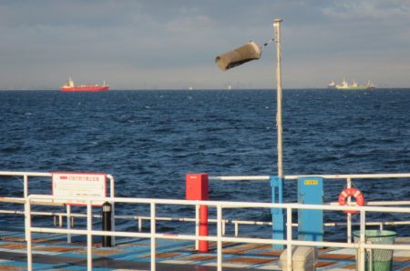 オリジナルメーカー海づり公園(市原市海づり施設) 釣果