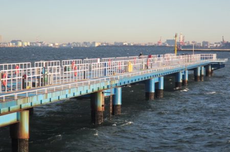オリジナルメーカー海づり公園(市原市海づり施設) 釣果