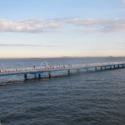 オリジナルメーカー海づり公園(市原市海づり施設) 釣果