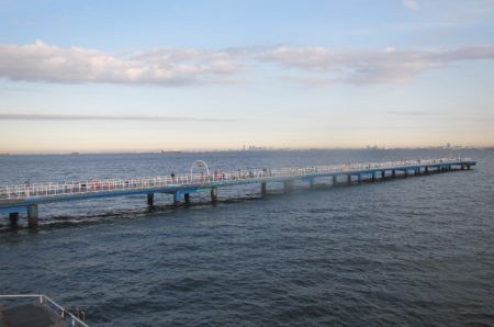 オリジナルメーカー海づり公園(市原市海づり施設) 釣果