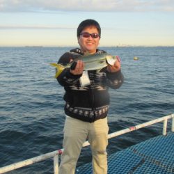 オリジナルメーカー海づり公園(市原市海づり施設) 釣果