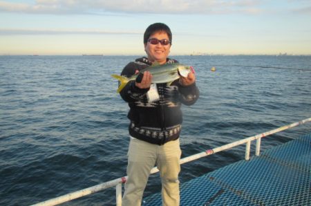 オリジナルメーカー海づり公園(市原市海づり施設) 釣果