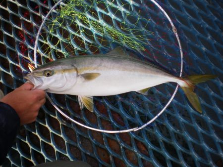オリジナルメーカー海づり公園(市原市海づり…