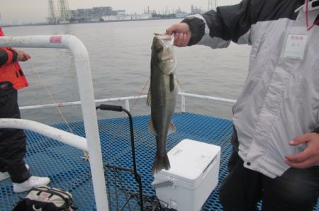オリジナルメーカー海づり公園(市原市海づり施設) 釣果