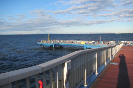 オリジナルメーカー海づり公園(市原市海づり施設) 釣果