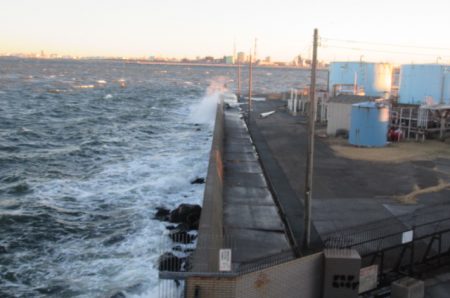 オリジナルメーカー海づり公園(市原市海づり施設) 釣果